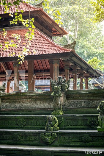 Picture of Monkey temple